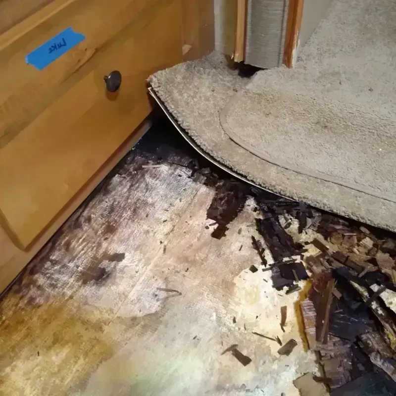 Best Wood Floor Water Damage Service in Tilton, IL